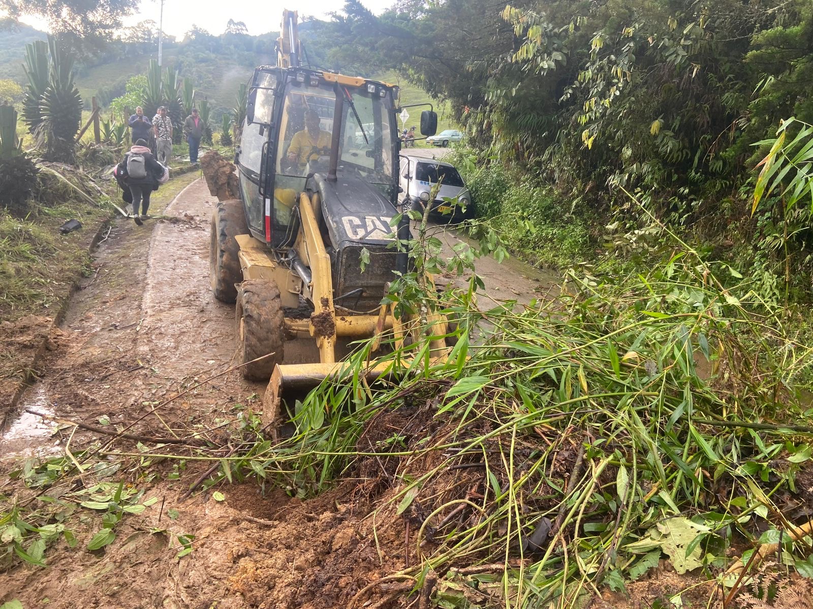 Foto: Gobernación de Caldas