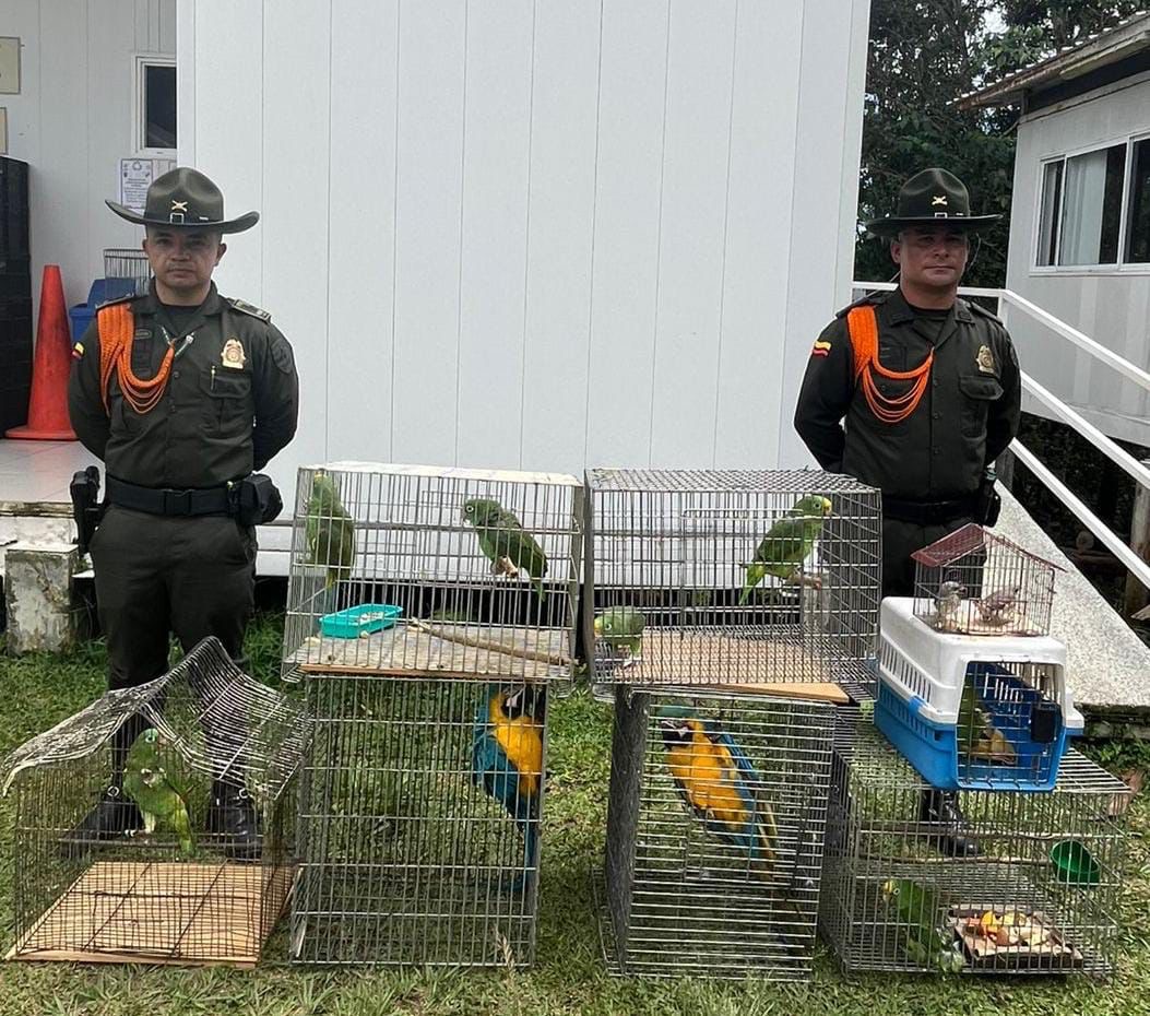 Foto: Policía de Caldas 